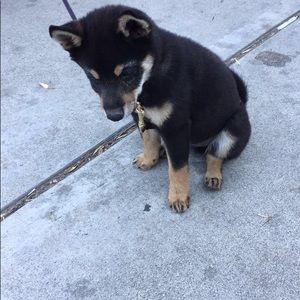 Meet your Posher, Kevin